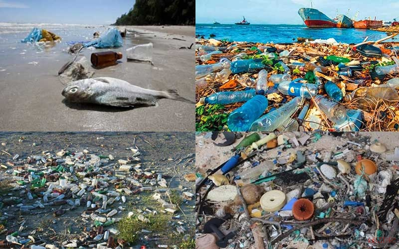 ​প্লাস্টিক দূষণ রোধে বাংলাদেশ কি প্রস্তুত?