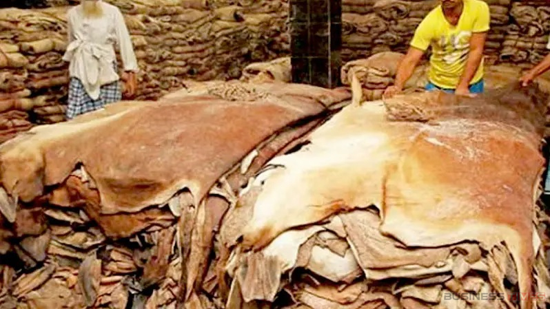 কোরবানির পশুর চামড়ার নতুন দাম নির্ধারণ