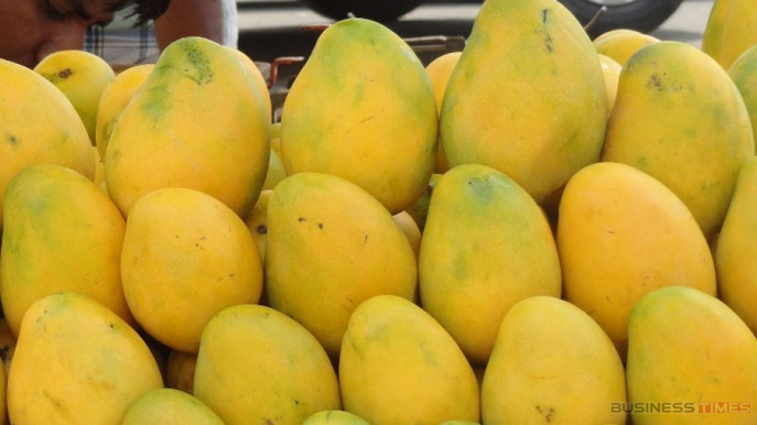 ২৮ মে প্রথমবারের মতো চীনে রপ্তানি হবে ৫০ টন আম