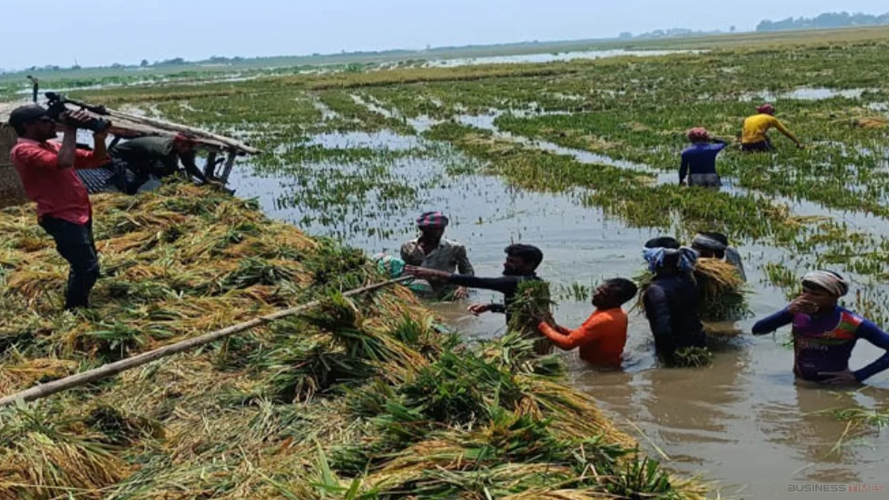 উজানের ঢলে চলনবিলের নিম্নাঞ্চল প্লাবিত
