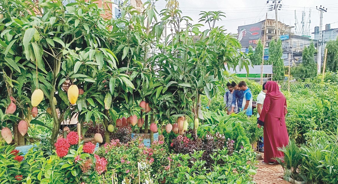 পরিবেশ মেলা ও বৃক্ষমেলা শুরু ২৫ জুন
