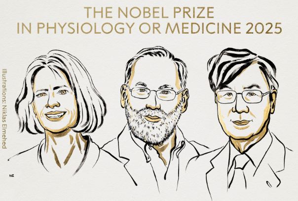 চিকিৎসায় নোবেল পুরস্কার পেলেন যুক্তরাষ্ট্র ও জাপানের তিন বিজ্ঞানী