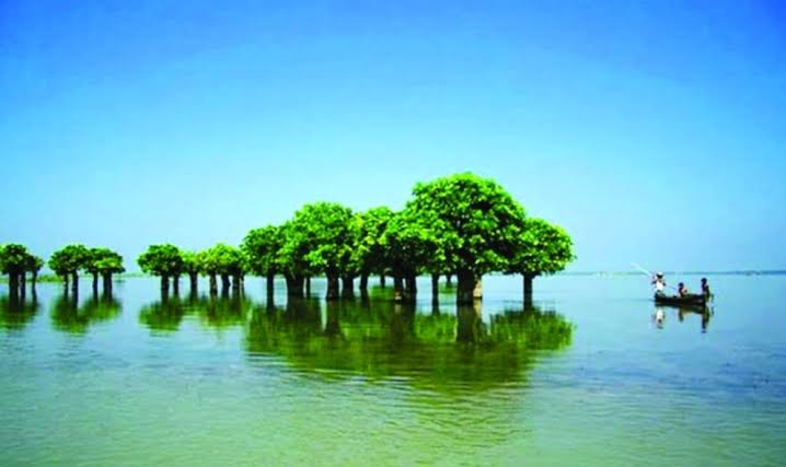 টাঙ্গুয়ার ও হাকালুকি হাওর