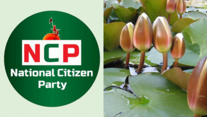 এনসিপির মনোনয়ন ফরম বিক্রি শুরু, দাম ১০ হাজার টাকা